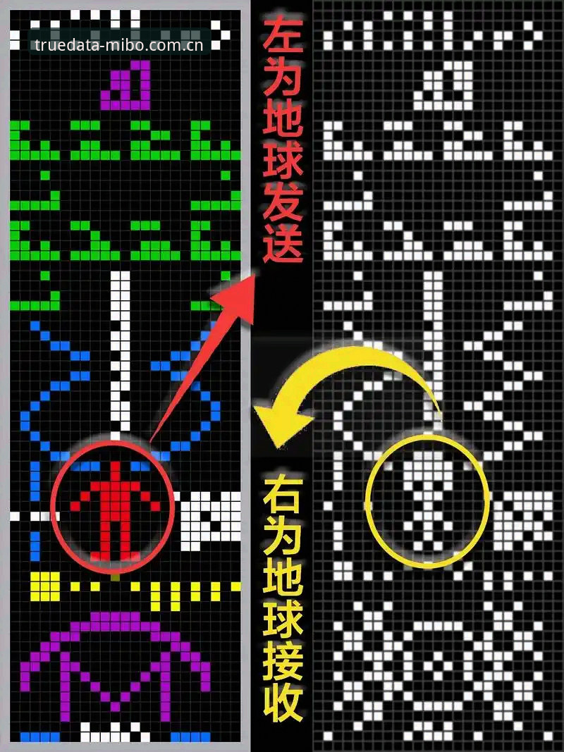 揭秘米博体育app下载常见问题：数据背后那些你不知道的真相